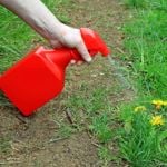 How to Make Homemade Weed Killer