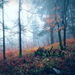 What is a Wendigo?