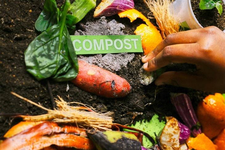 How to Compost at Home