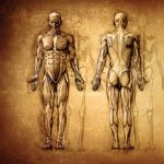 Body Parts We Don't Need