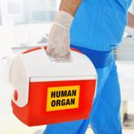 All About Life-Saving Organ Transplants