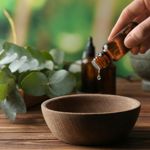 The Powerful Health Benefits of Eucalyptus