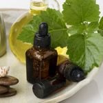 The Health Benefits of Patchouli