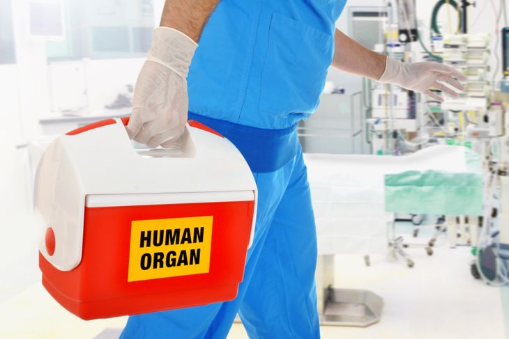 All About Life-Saving Organ Transplants