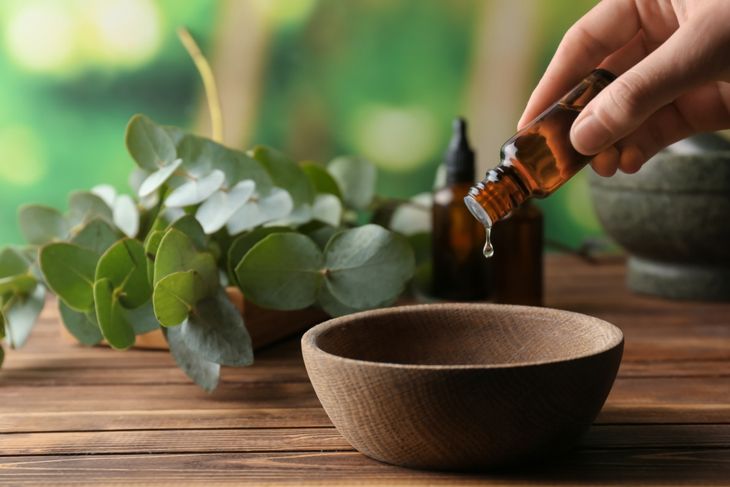 The Powerful Health Benefits of Eucalyptus