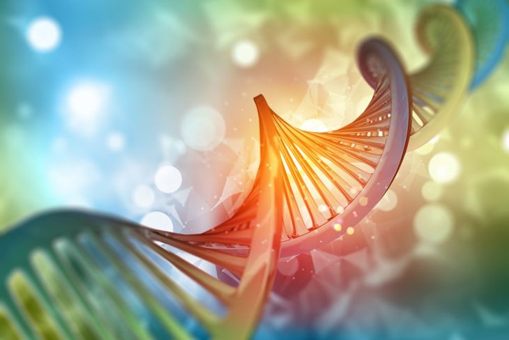 The Controversy and Curiosity Surrounding Epigenetics