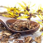 Witch Hazel and Its 10 Remarkable Health Benefits