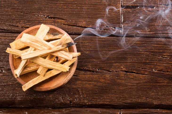 Discover the Mystique of Palo Santo