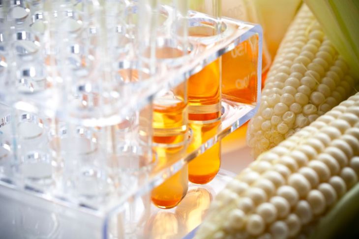 The Role of Dextrose in Nutrition, Bodybuilding, and Diabetes