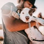 The Smartest Dog Breeds in the World