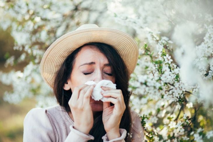 All About Antihistamines