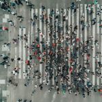 Why Herd Immunity Works