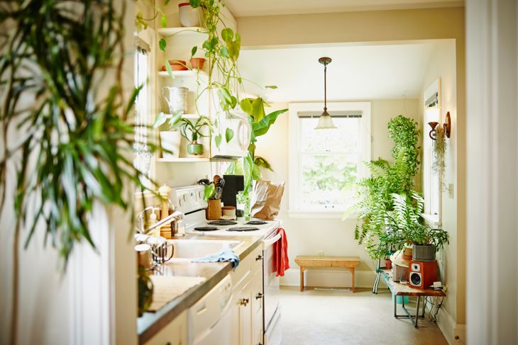 Color Ideas To Make The Kitchen Your Favorite Room In The House