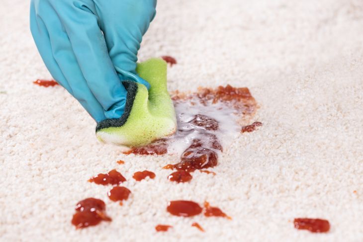Accidents Happen: How To Get Blood Out of Carpet
