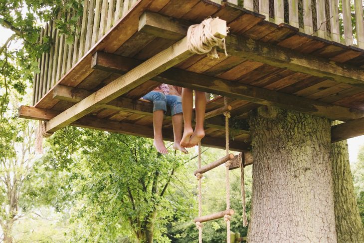 Tips for Building a Tree House