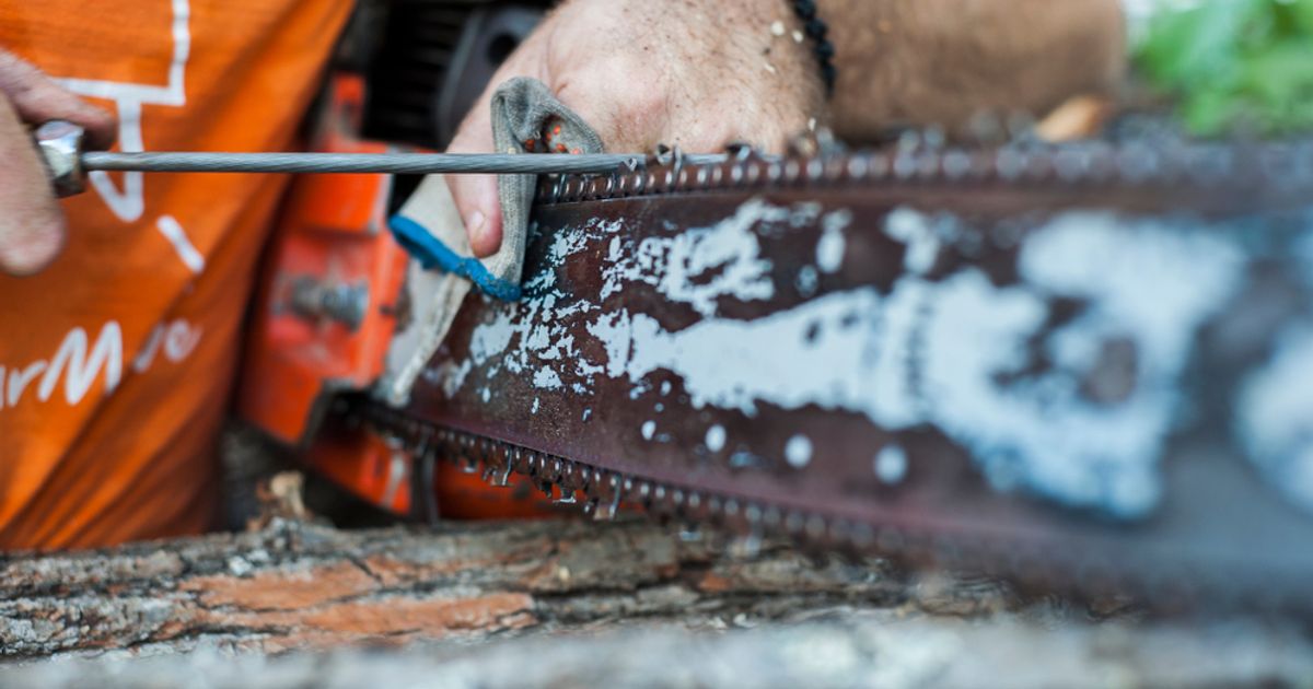 How to Sharpen a Chainsaw Facty