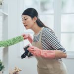 Eliminate Dust Mites and Maintain a Clean Home