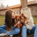 Ear Mites in Dogs: What Pet Parents Need To Know