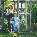 DIY Greenhouse Ideas for Your Garden
