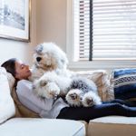 Easy DIY Hacks Every Pet Owner Needs to Know