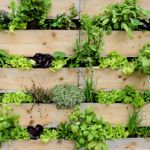 Take Your Green Thumb to New Heights With Vertical Gardening