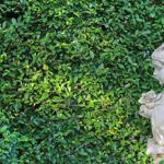 Gorgeous Goddess Names for Your Little Girl