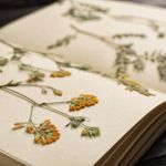 Quick Flower-Pressing Methods for the Hurried Hobbyist