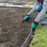 DIY Lawn Edging Ideas for Your Yard