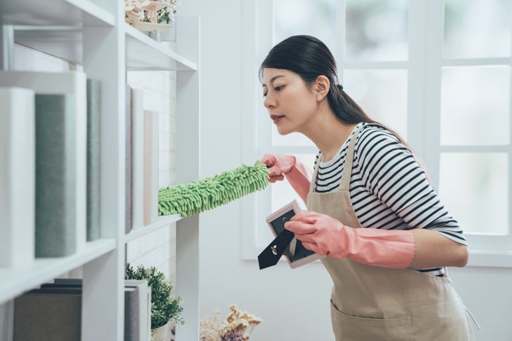 Eliminate Dust Mites and Maintain a Clean Home