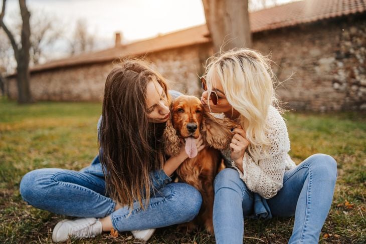 Ear Mites in Dogs: What Pet Parents Need To Know