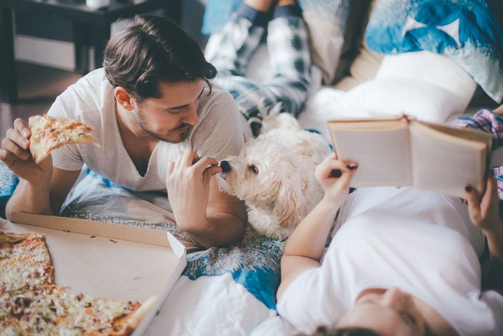 Not Just Fluff: A Guide To Poodles