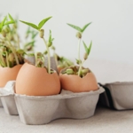 Gardening Hacks You'll Use From Now On