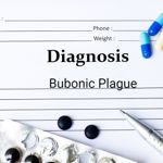 Bubonic Plague in the Modern World