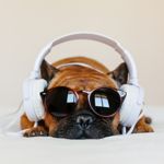 Annoying Songs You Can't Get Out Of Your Head
