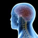 Effects and Dangers of Pituitary Gland Conditions