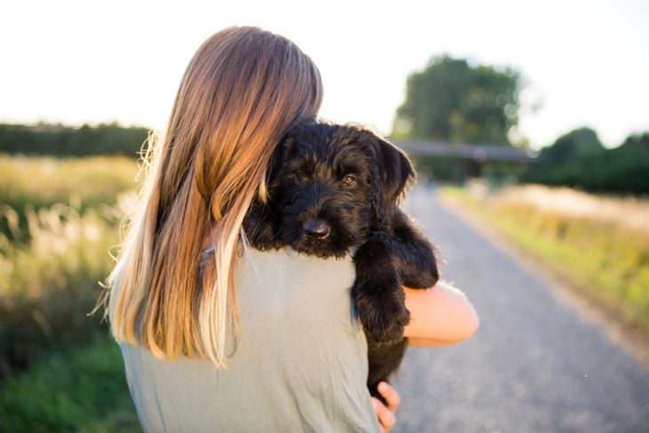 Rear view of a young woman hugging a puppy at a sunny day. rural background.