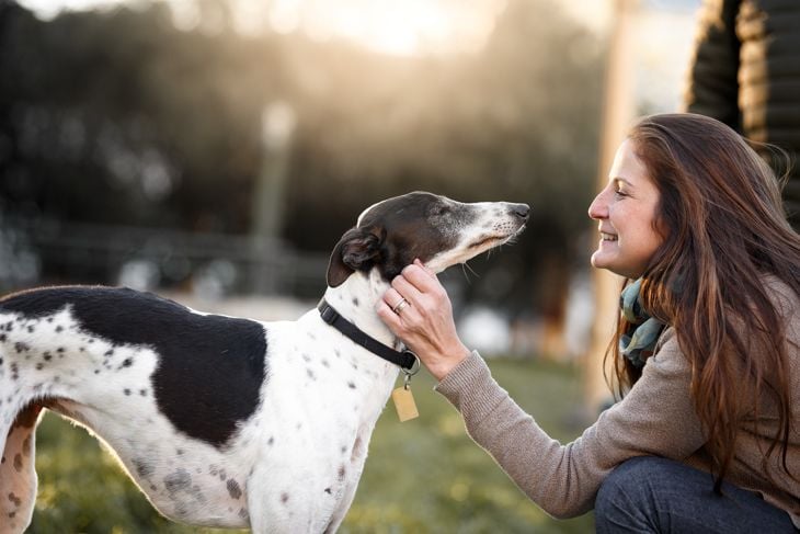A woman and her whippet dog