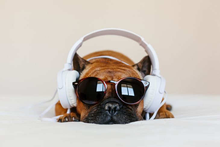Annoying Songs You Can't Get Out Of Your Head