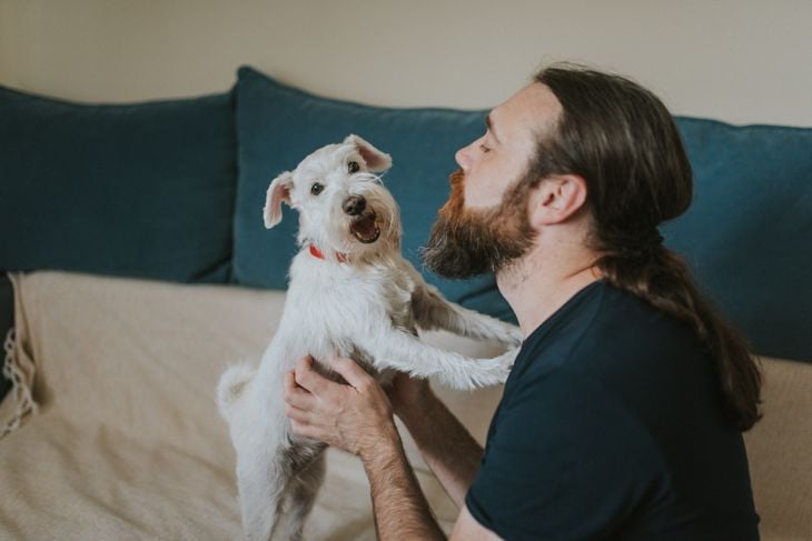 Young man with beard is playing with his pet. Man and dog playing in the house. Dog is jumping on man's chest.
