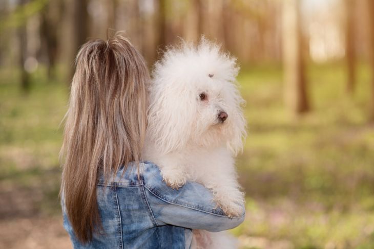 Beauty woman and her dog in the park a spring day