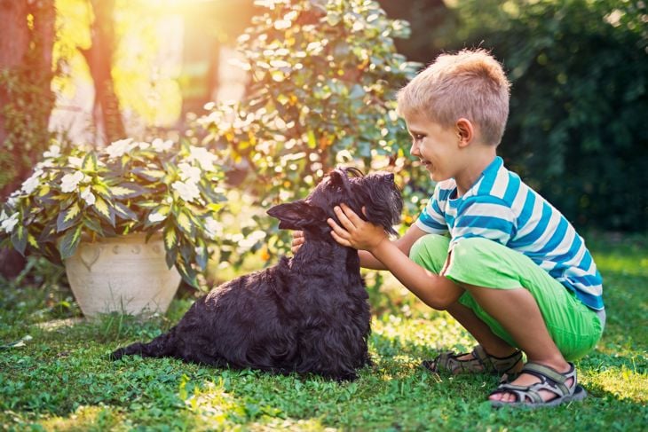 Happy little boy aged 7 is playing on the grass with his black dog.