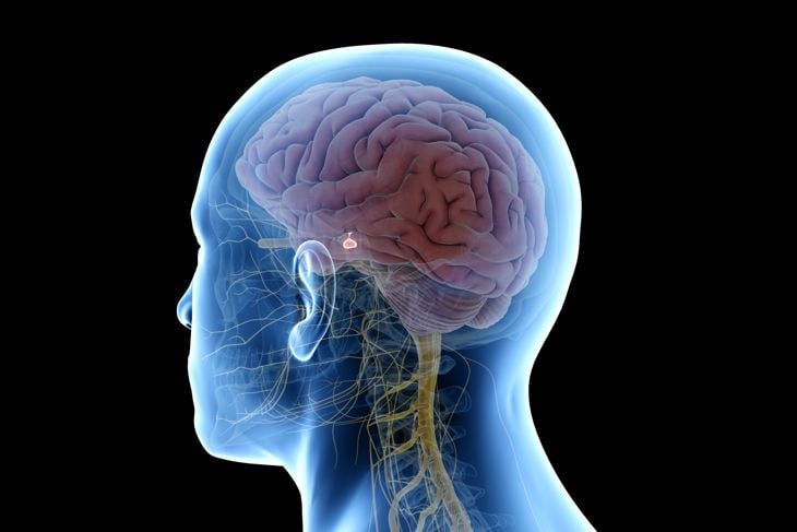 Effects and Dangers of Pituitary Gland Conditions