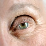 The Science Behind Eye Color