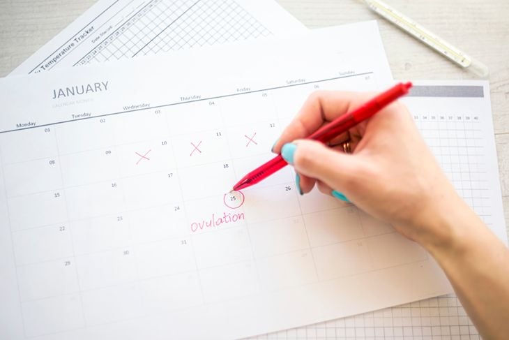 Ovulation Changes and Why They Occur