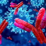 A Guide to Antibodies