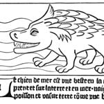 Historically Inaccurate Drawings of Animals