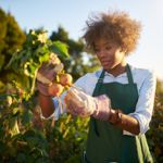 Why Gardening is Good for Body and Mind