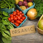 Going Organic: Craze or Credible?