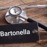 Recognizing Diseases Caused by Bartonella
