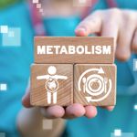 Understanding What Metabolism Really Means